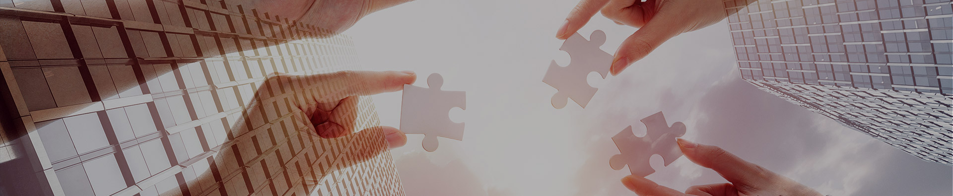 xpj官网（天津）岩矿检测有限公司